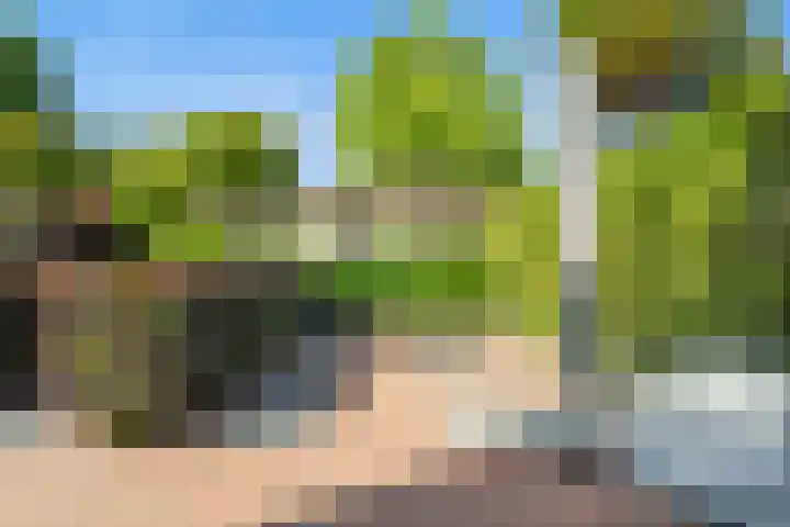 Tuinpad 21 Wassenaar thumbnail 4