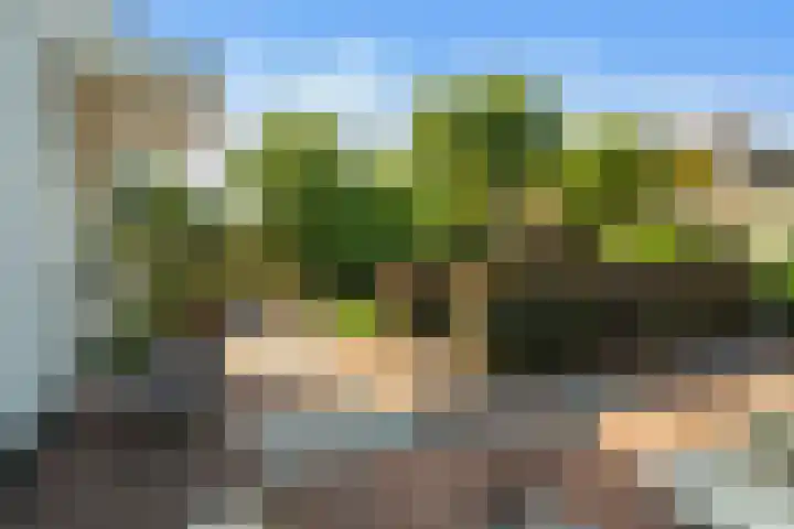 Tuinpad 21 Wassenaar thumbnail 6
