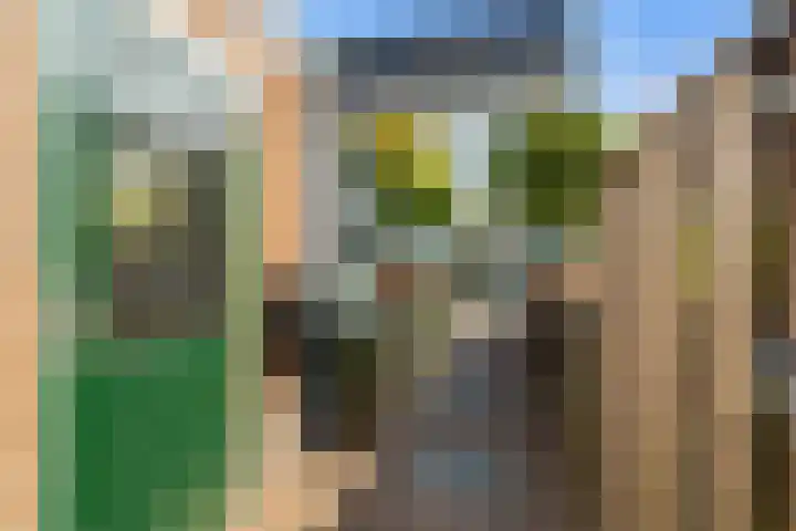Tuinpad 21 Wassenaar thumbnail 7