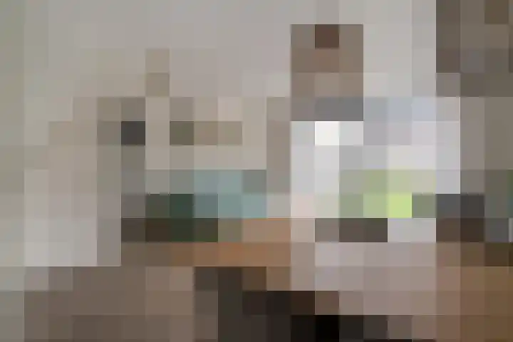 Tuinpad 22 Zevenaar thumbnail 15