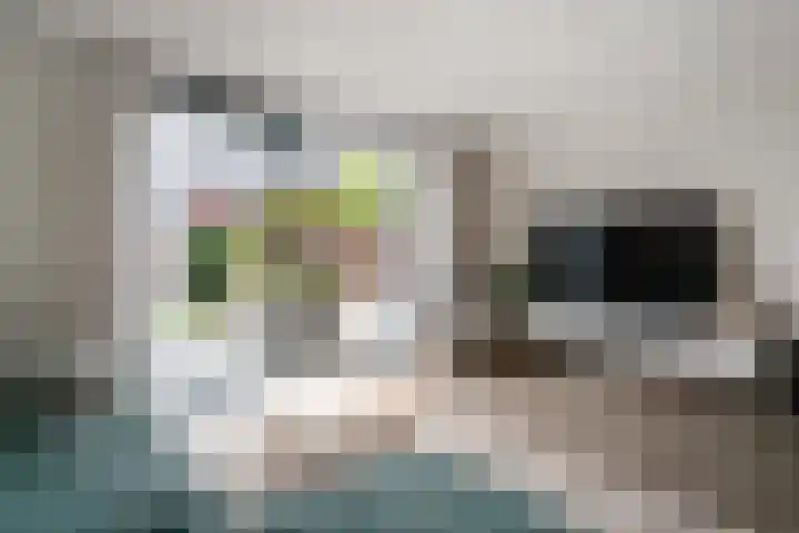 Tuinpad 22 Zevenaar thumbnail 17