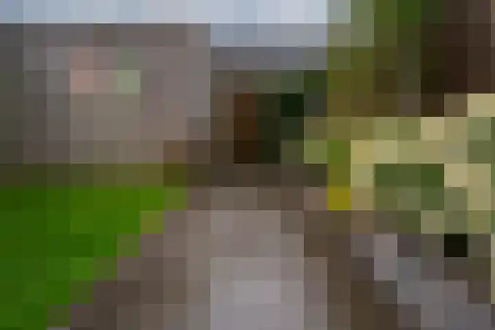 Tuinpad 22 Zevenaar thumbnail 21