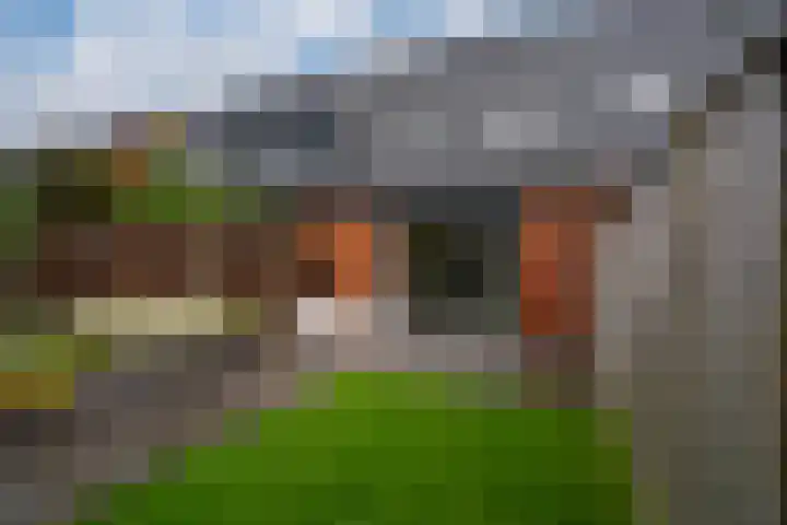 Tuinpad 22 Zevenaar thumbnail 22
