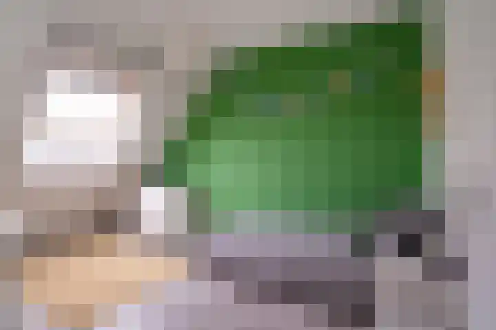 Tuinpad 22 Zevenaar thumbnail 26
