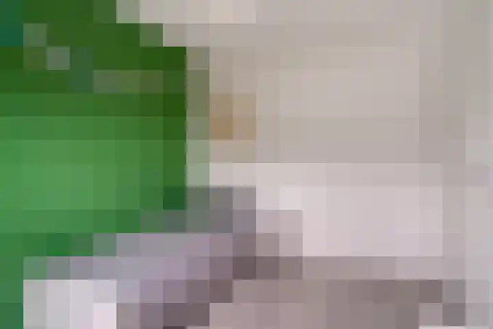 Tuinpad 22 Zevenaar thumbnail 27