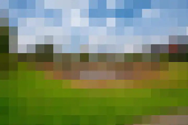 Tuinpad 22 Zevenaar thumbnail 38