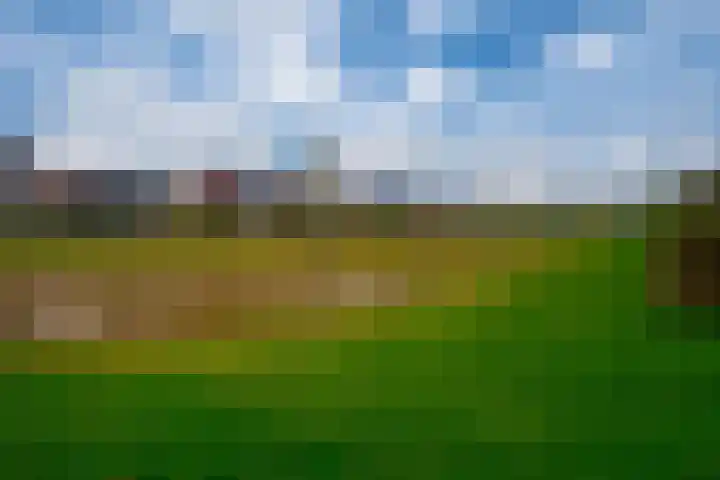Tuinpad 22 Zevenaar thumbnail 40
