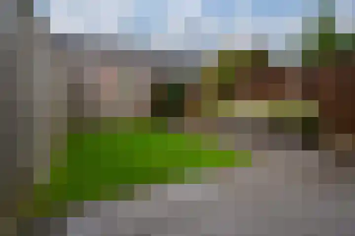 Tuinpad 22 Zevenaar thumbnail 5