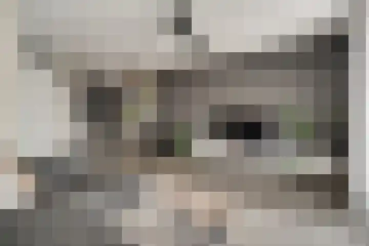 Tuinpad 24 Zevenaar thumbnail 17