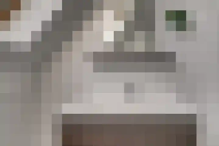 Tuinpad 24 Zevenaar thumbnail 36