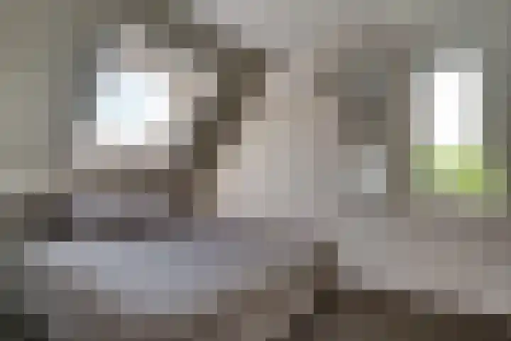 Tuinpad 24 Zevenaar thumbnail 38