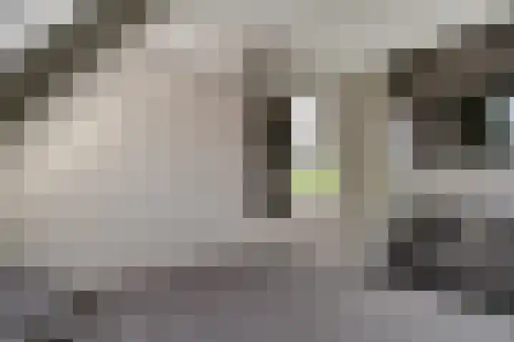 Tuinpad 24 Zevenaar thumbnail 39