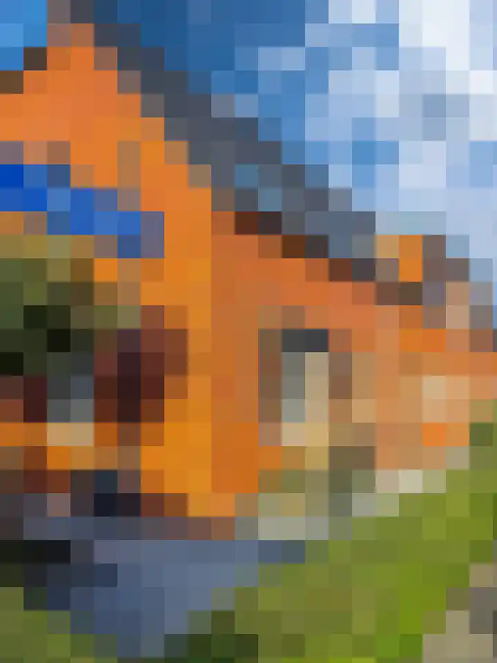 Tuinpad 24 Zevenaar thumbnail 43