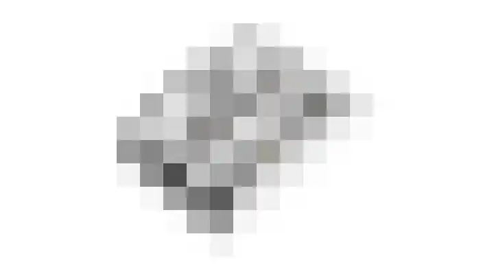 Tuinpad 24 Zevenaar thumbnail 48