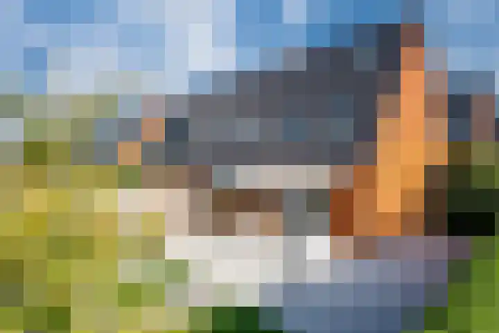 Tuinpad 24 Zevenaar thumbnail 5