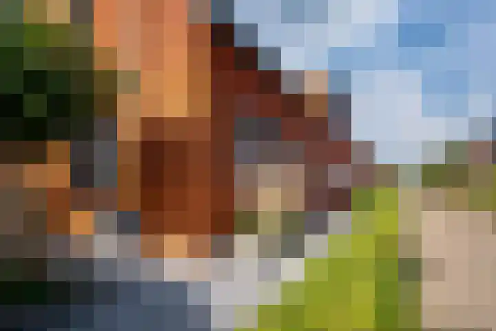 Tuinpad 24 Zevenaar thumbnail 6