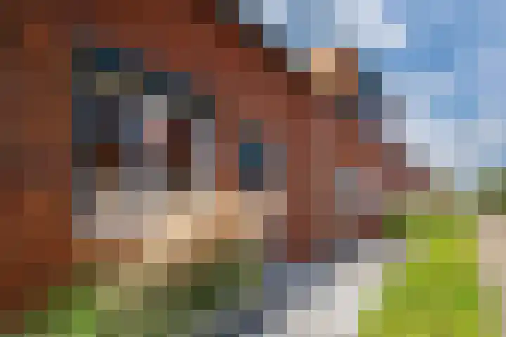 Tuinpad 24 Zevenaar thumbnail 7