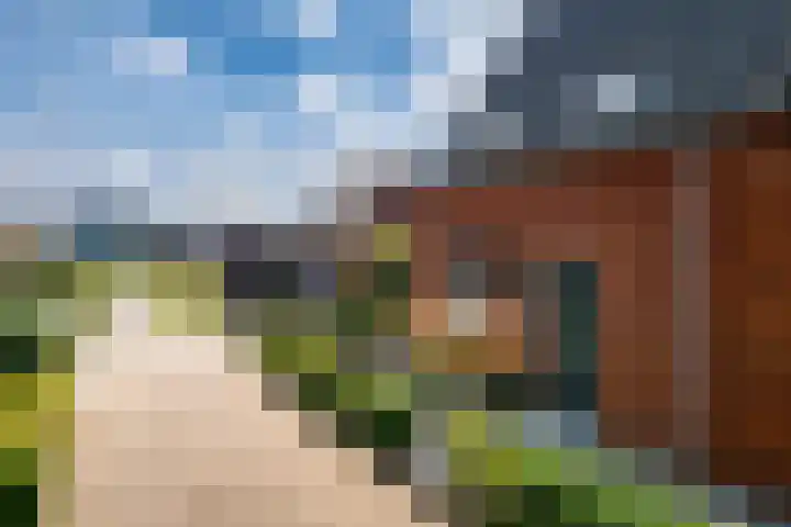 Tuinpad 24 Zevenaar thumbnail 8