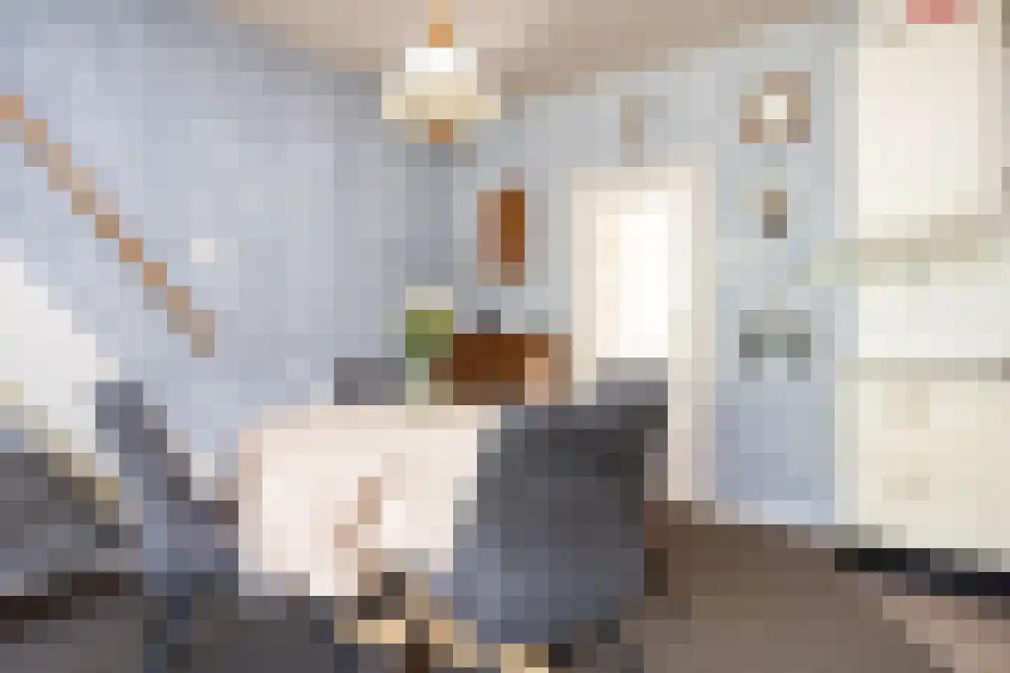 Tuinpad 3 Berkel en Rodenrijs thumbnail 17