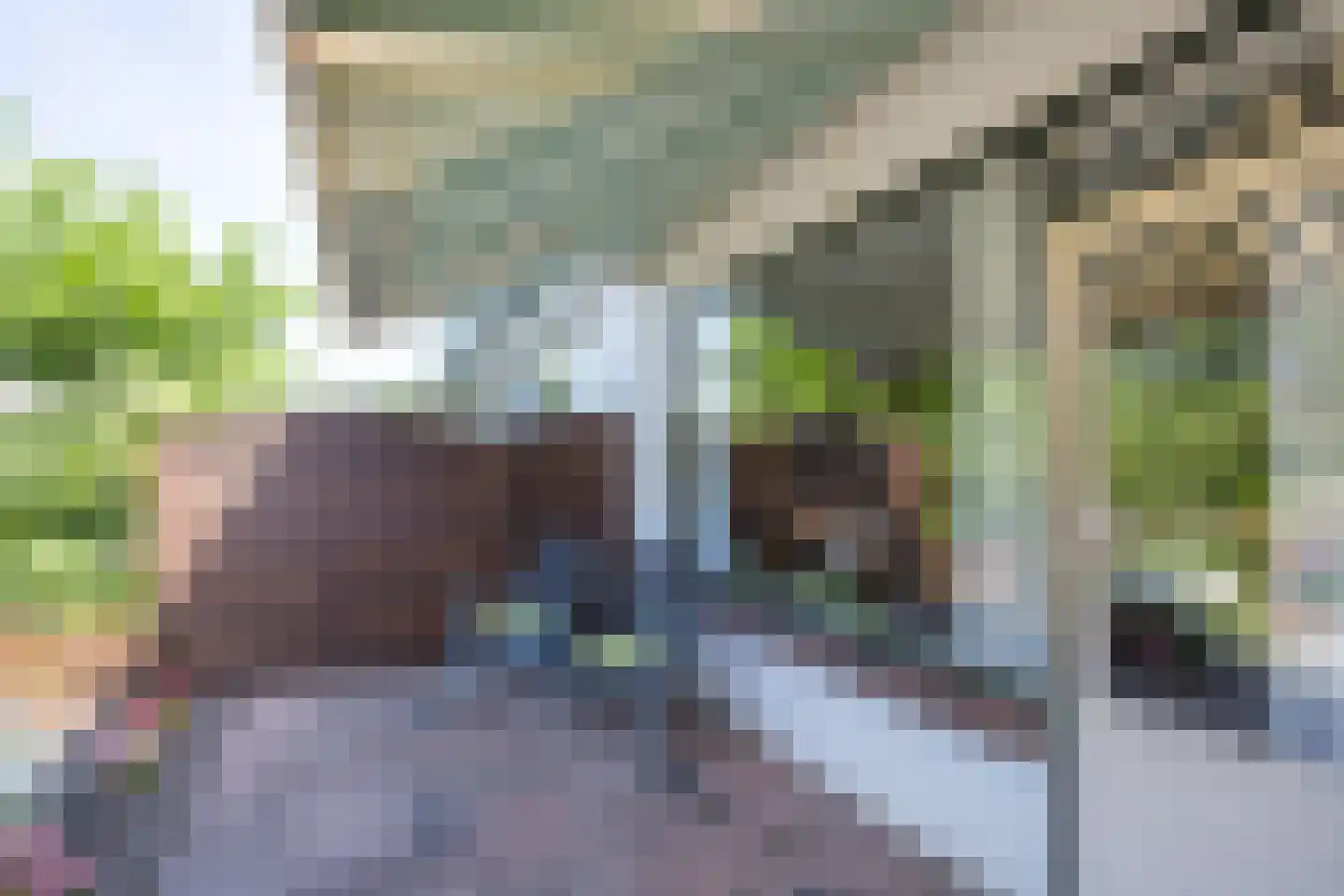 Tuinpad 3 Berkel en Rodenrijs thumbnail 36