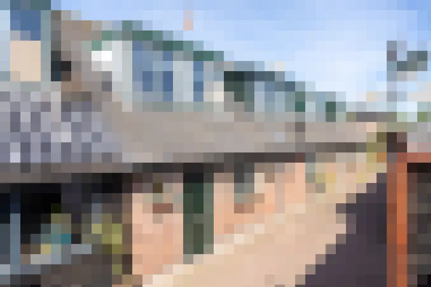 Tuinpad 3 Berkel en Rodenrijs thumbnail 4