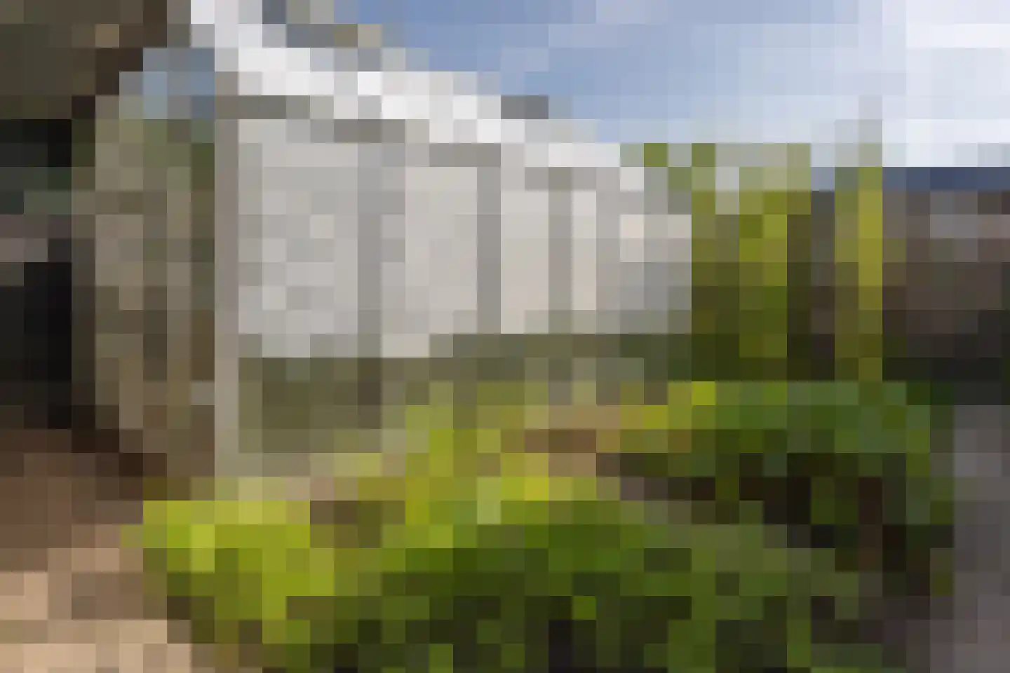 Tuinpad 3 Berkel en Rodenrijs thumbnail 40