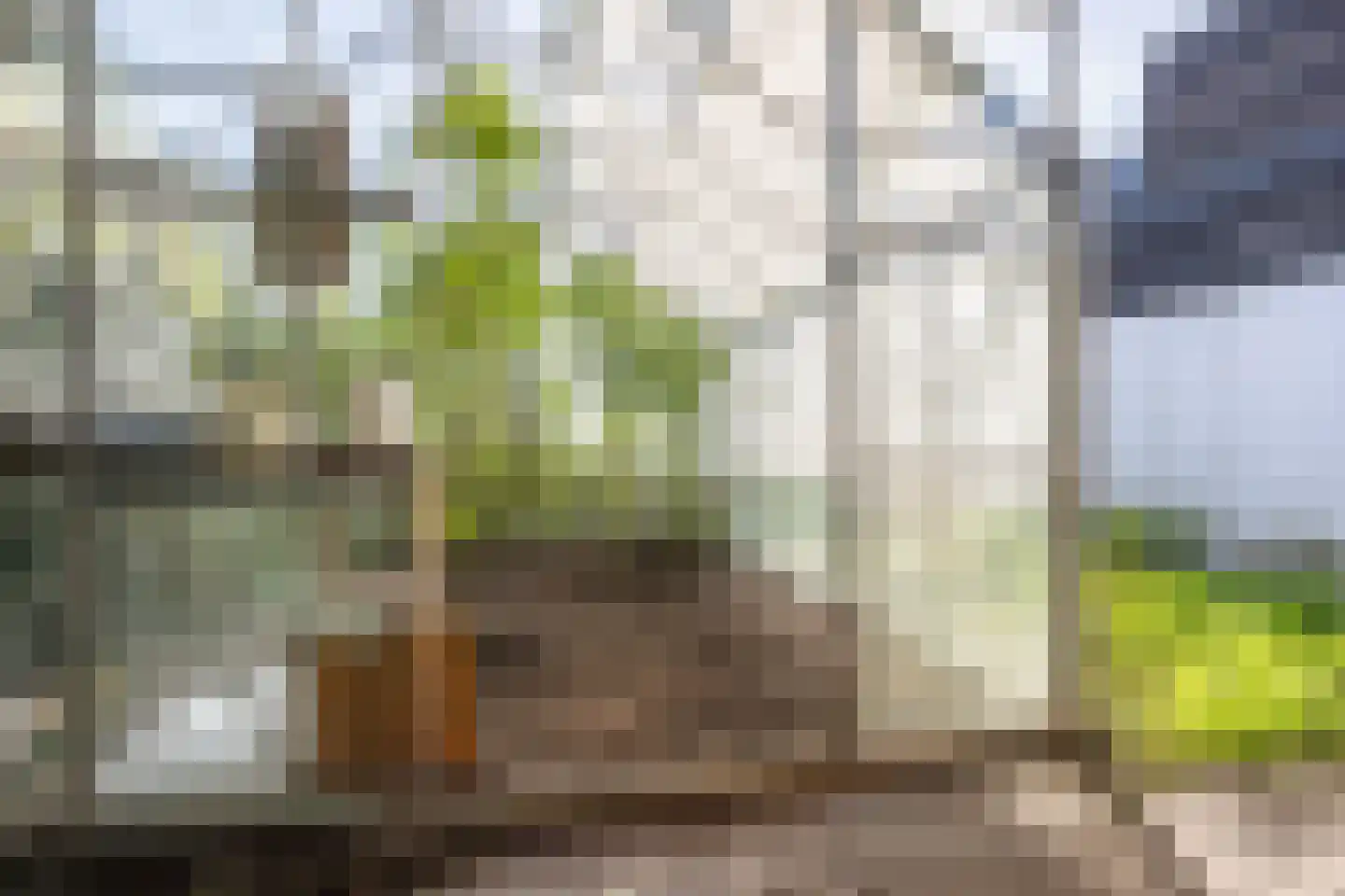 Tuinpad 3 Berkel en Rodenrijs thumbnail 42