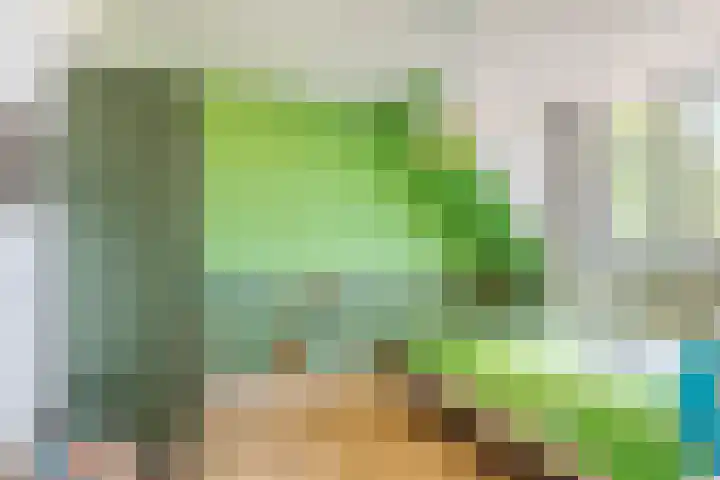 Tuinpad 38 Dorst thumbnail 20