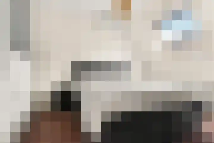 Tuinpad 6 Zevenaar thumbnail 18