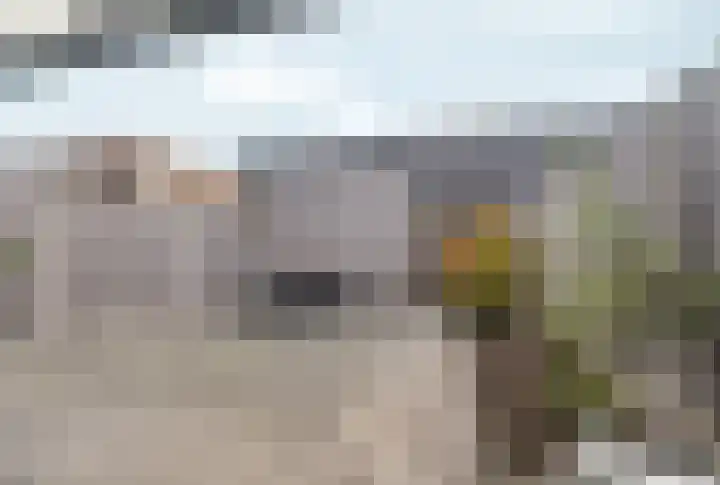 Tuinpad 6 Zevenaar thumbnail 30