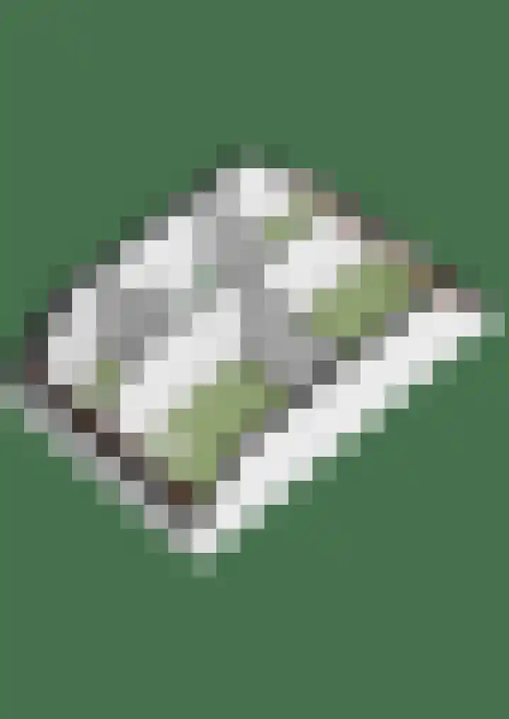 Tuinpad 6 Zevenaar thumbnail 44