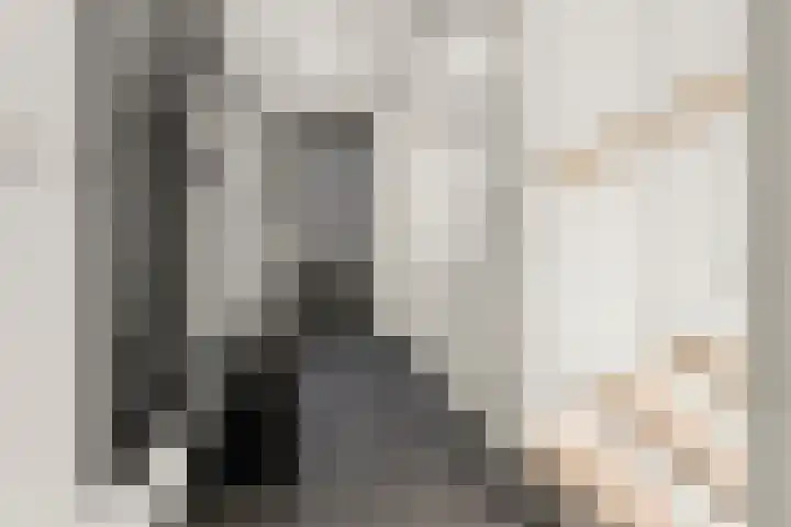 Tuinpad 6 Zevenaar thumbnail 7