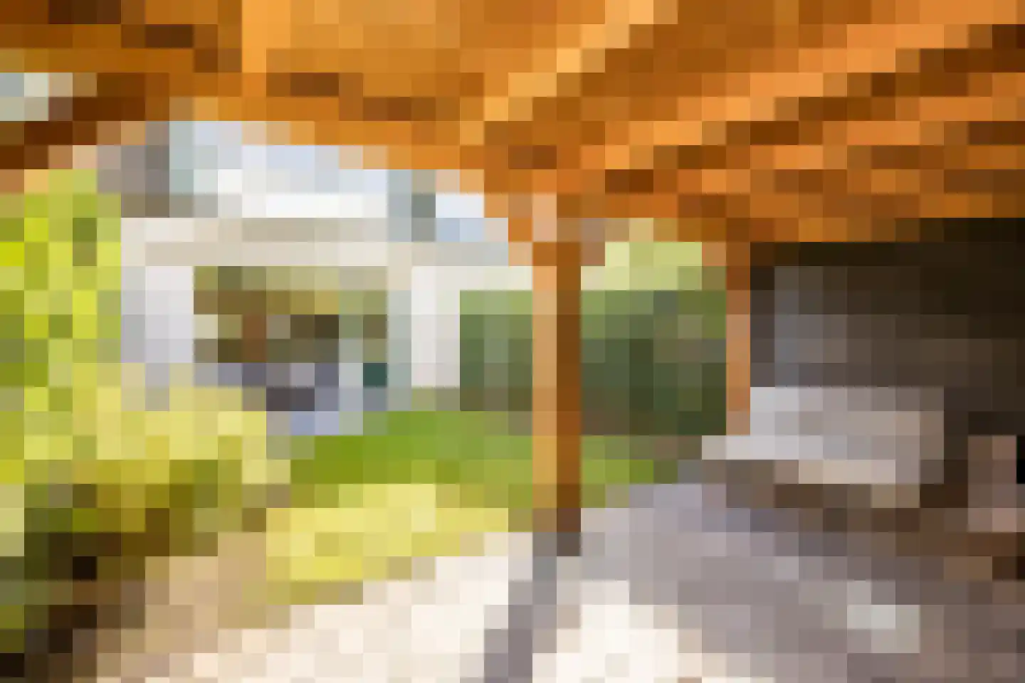 Tuinpad 7 Berkel en Rodenrijs thumbnail 16