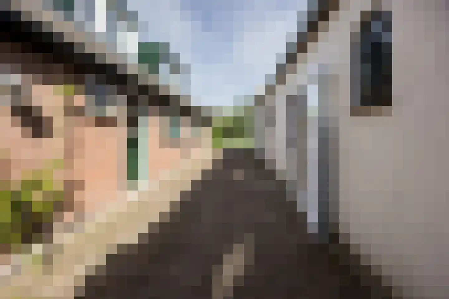 Tuinpad 7 Berkel en Rodenrijs thumbnail 28