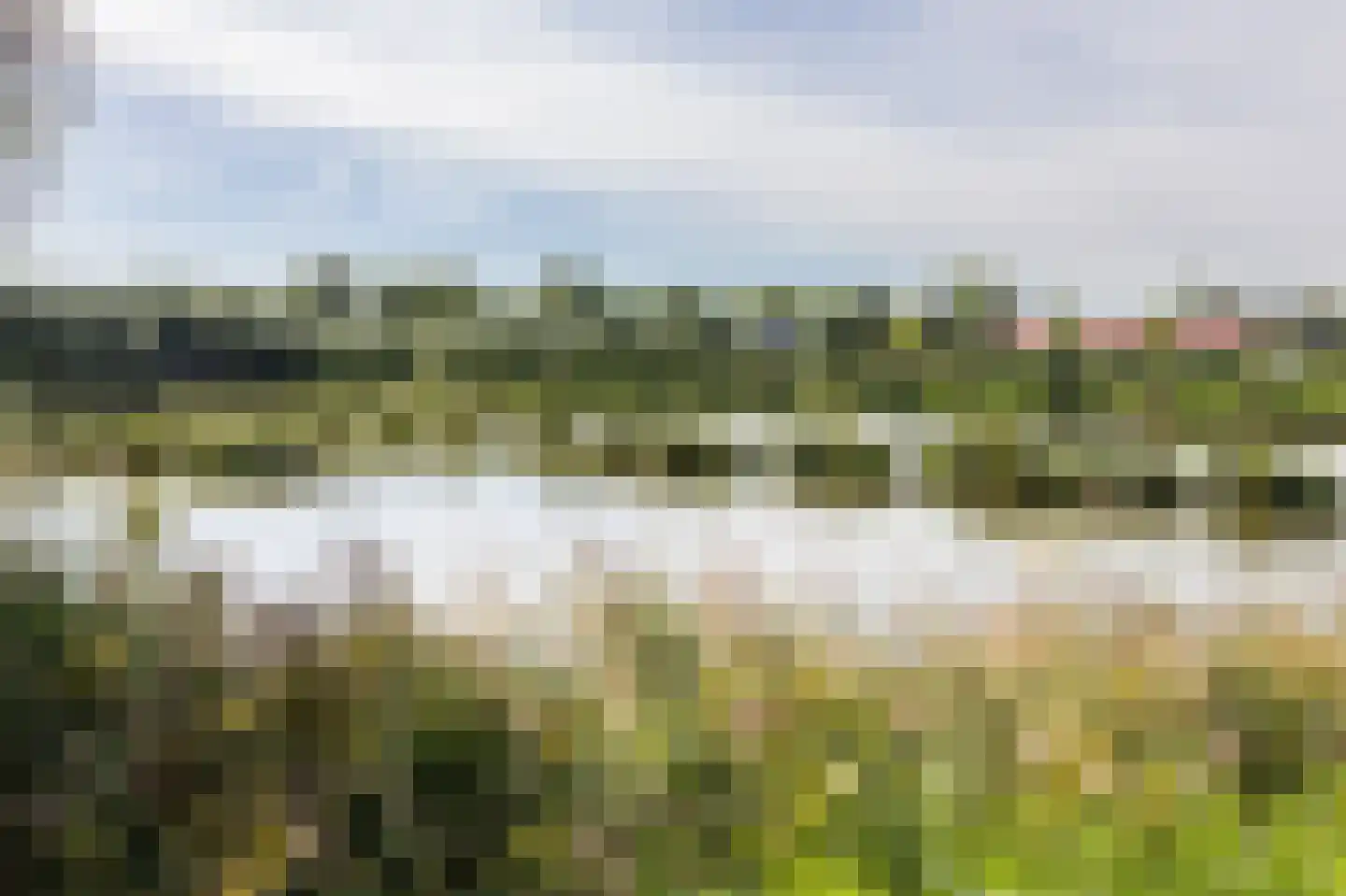 Tuinpad 7 Berkel en Rodenrijs thumbnail 33