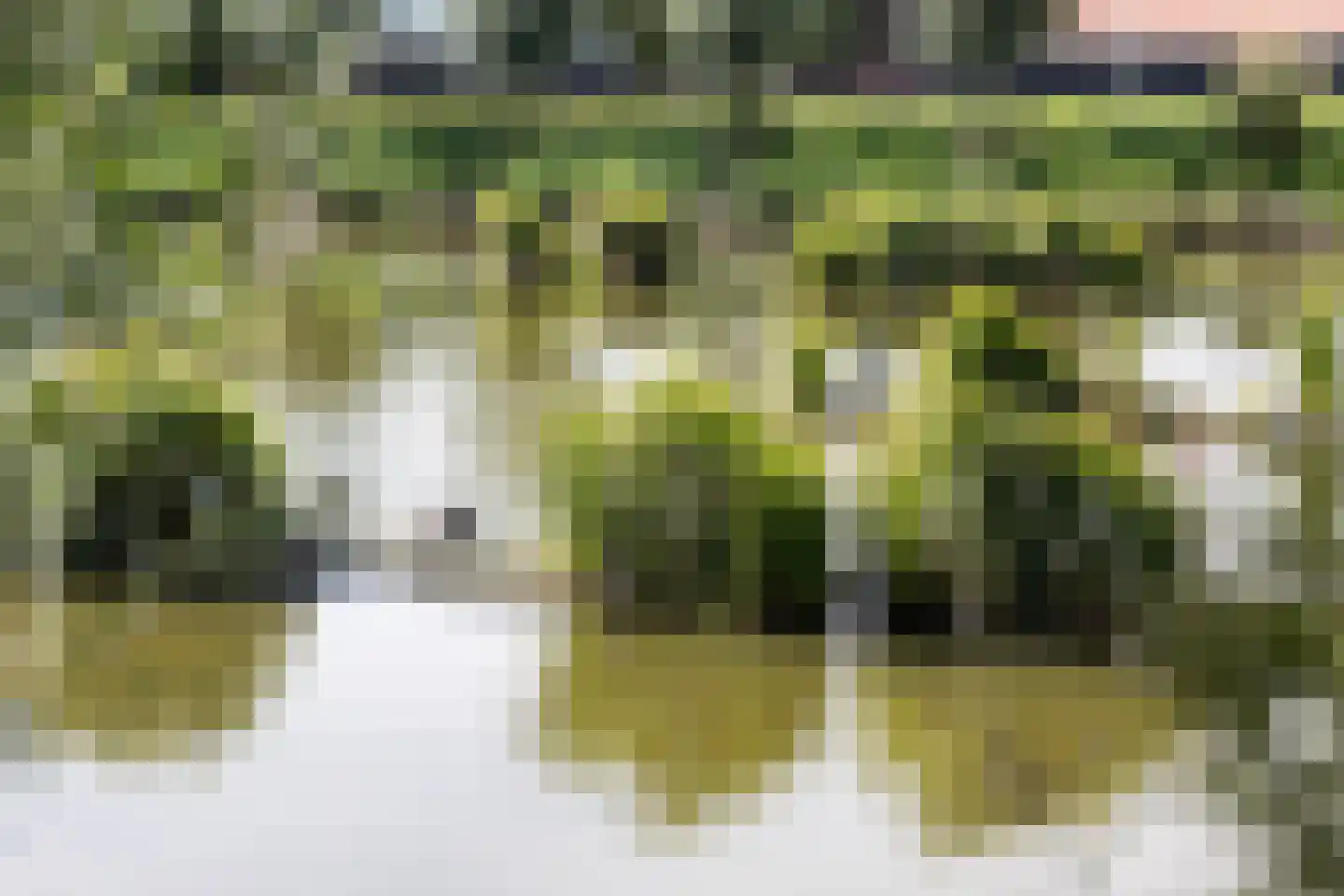 Tuinpad 7 Berkel en Rodenrijs thumbnail 34