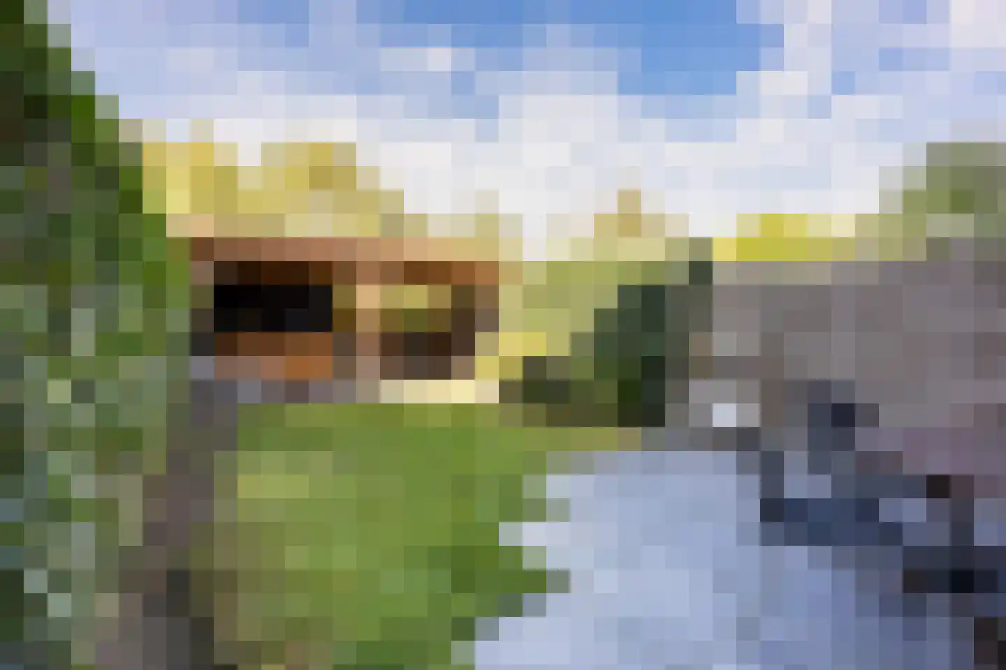 Tuinpad 7 Berkel en Rodenrijs thumbnail 5