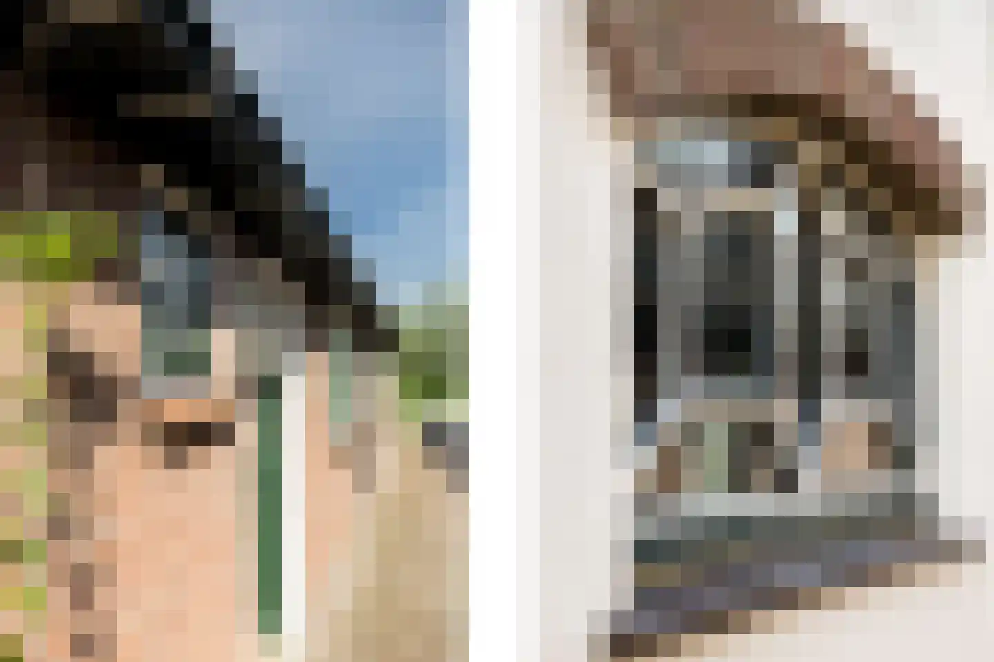 Tuinpad 7 Berkel en Rodenrijs thumbnail 6