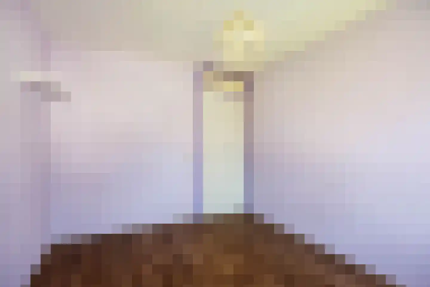 Tuins 6 Leens thumbnail 14