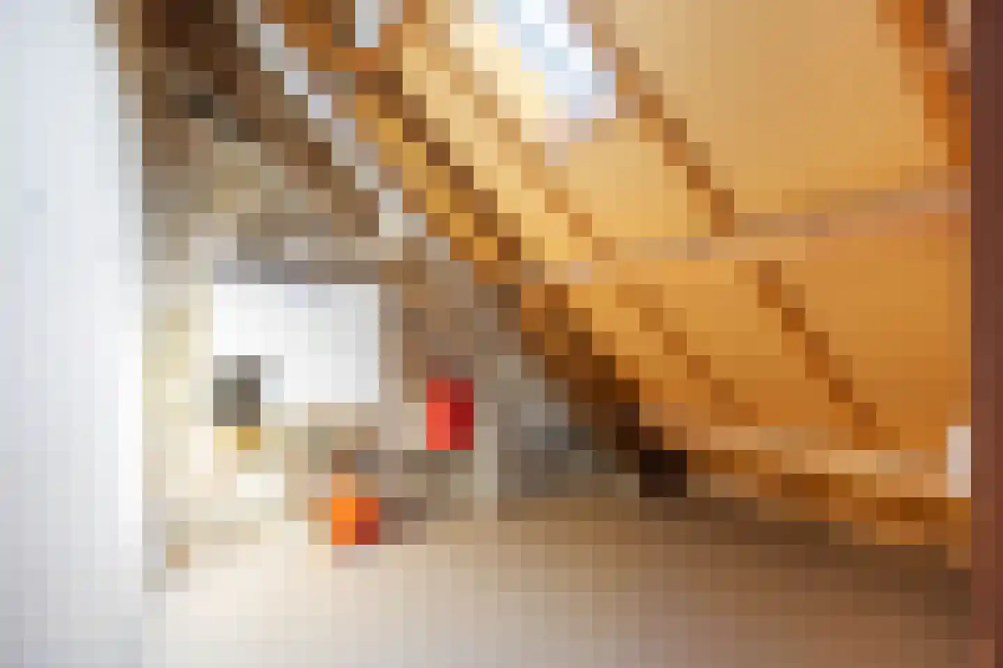 Tuins 6 Leens thumbnail 24