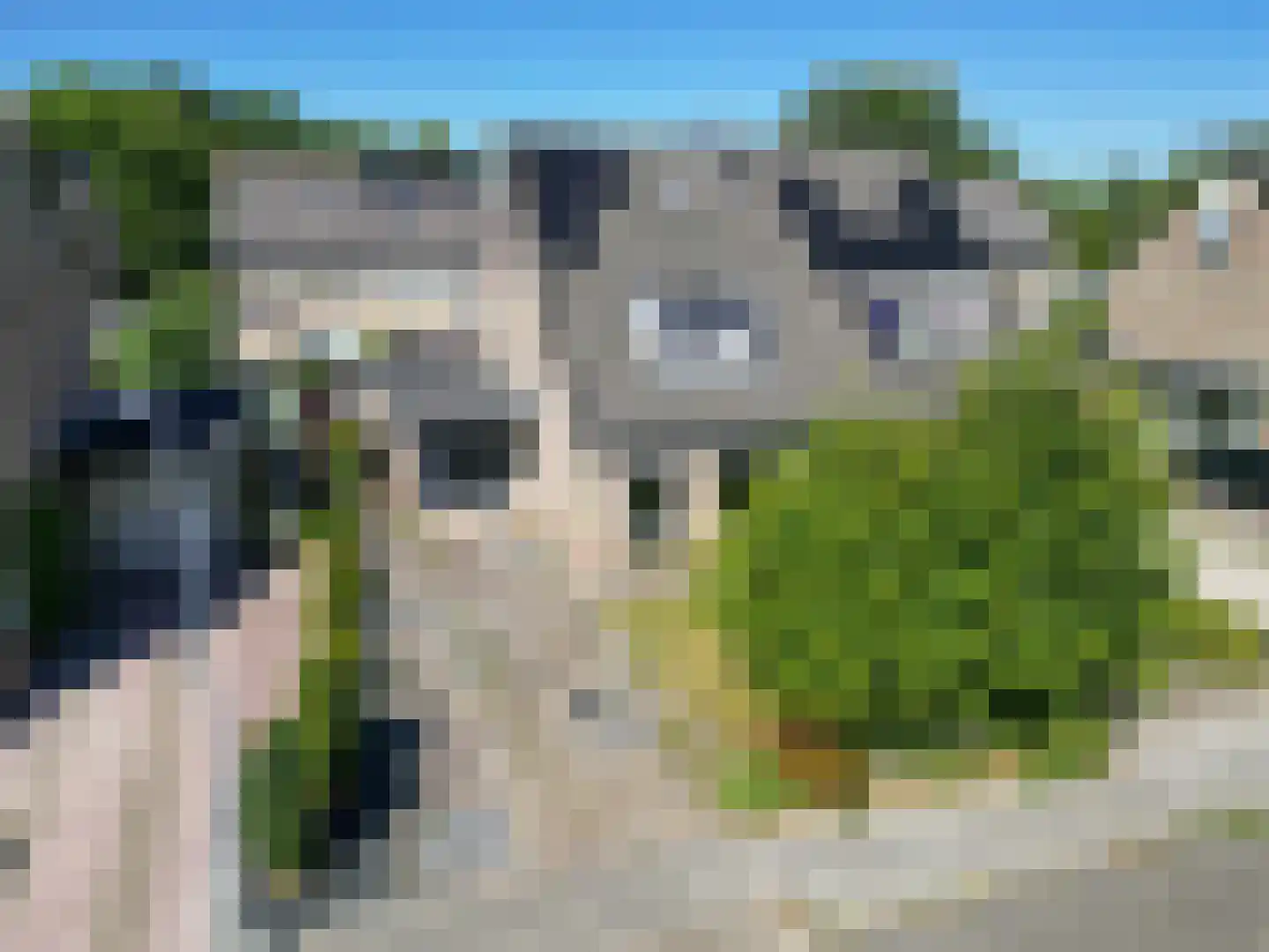 Tuins 6 Leens thumbnail 30