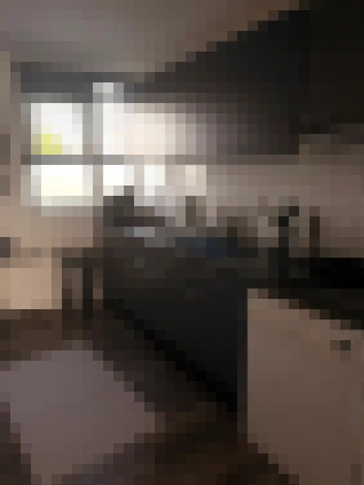 Tuinstee 8 Purmerend thumbnail 4