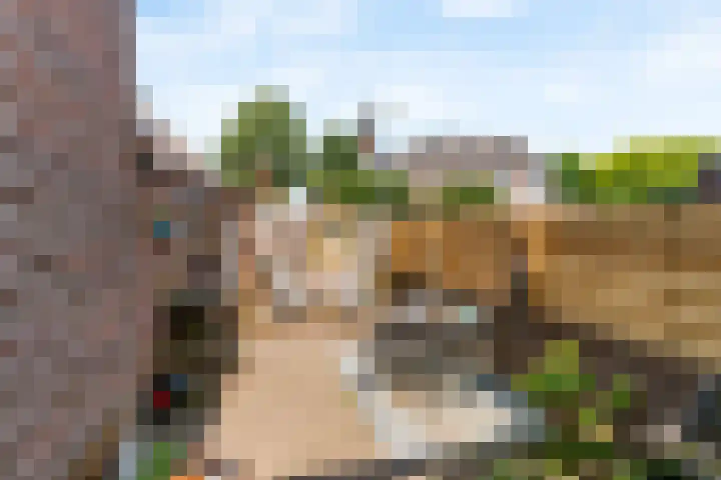 Tuinstraat 1 Alphen aan den Rijn thumbnail 25