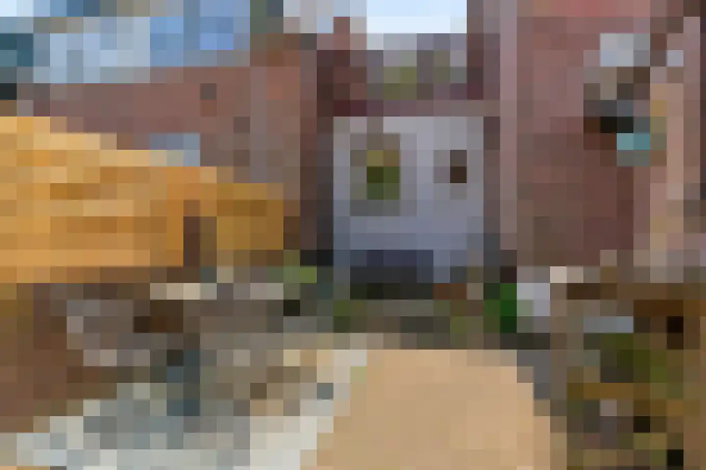 Tuinstraat 1 Alphen aan den Rijn thumbnail 27