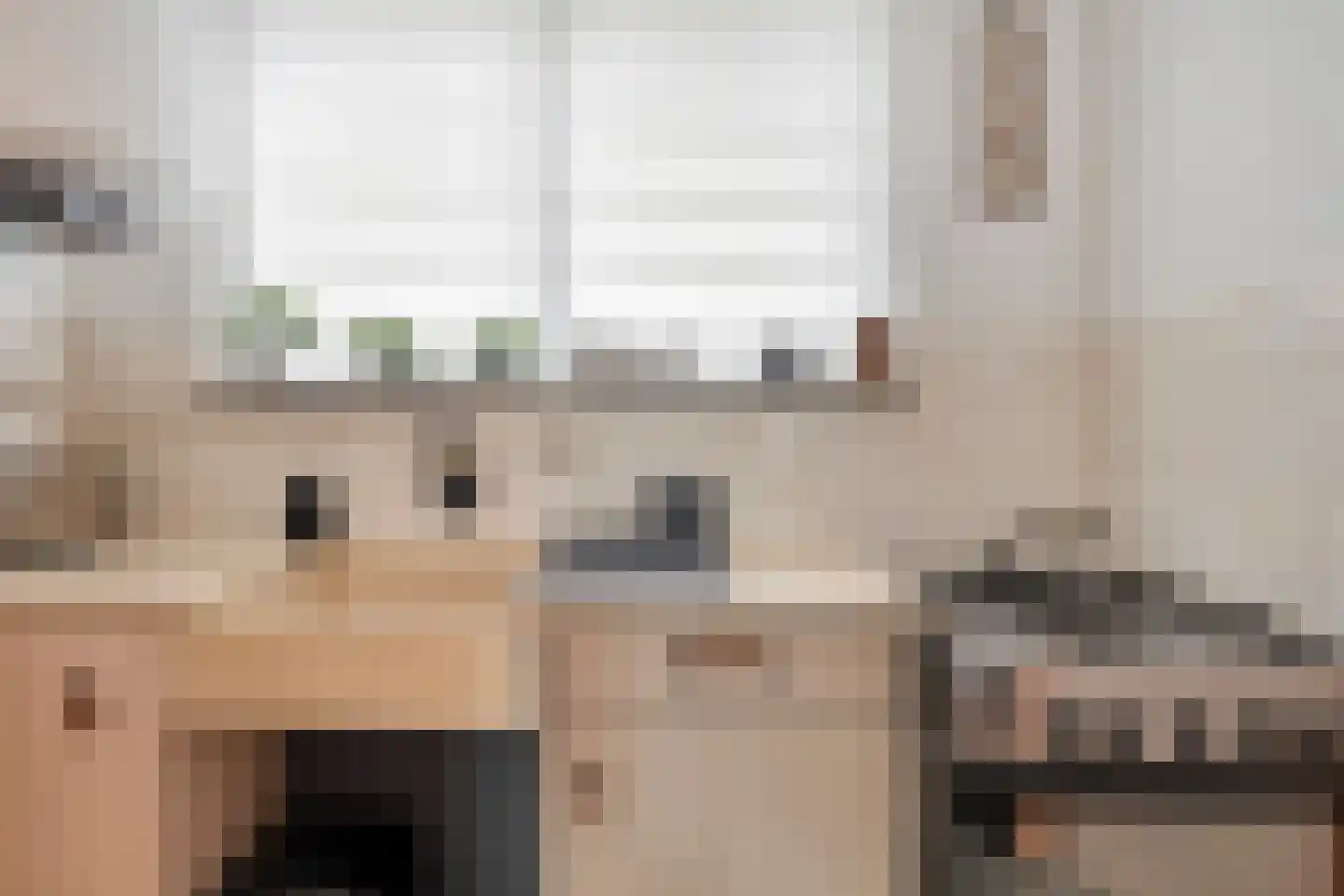 Tuinstraat 1 Biervliet thumbnail 13