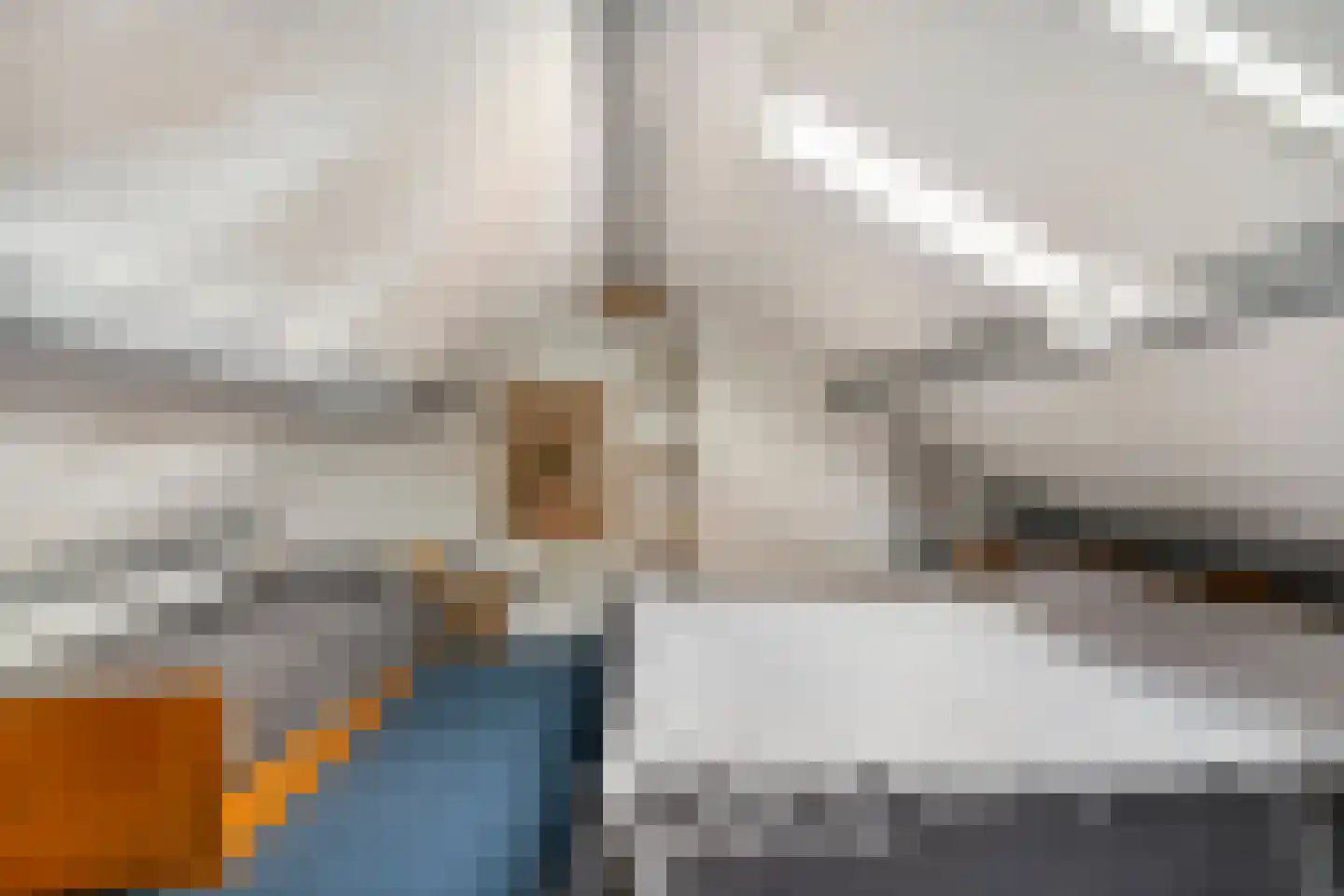 Tuinstraat 1 Biervliet thumbnail 17