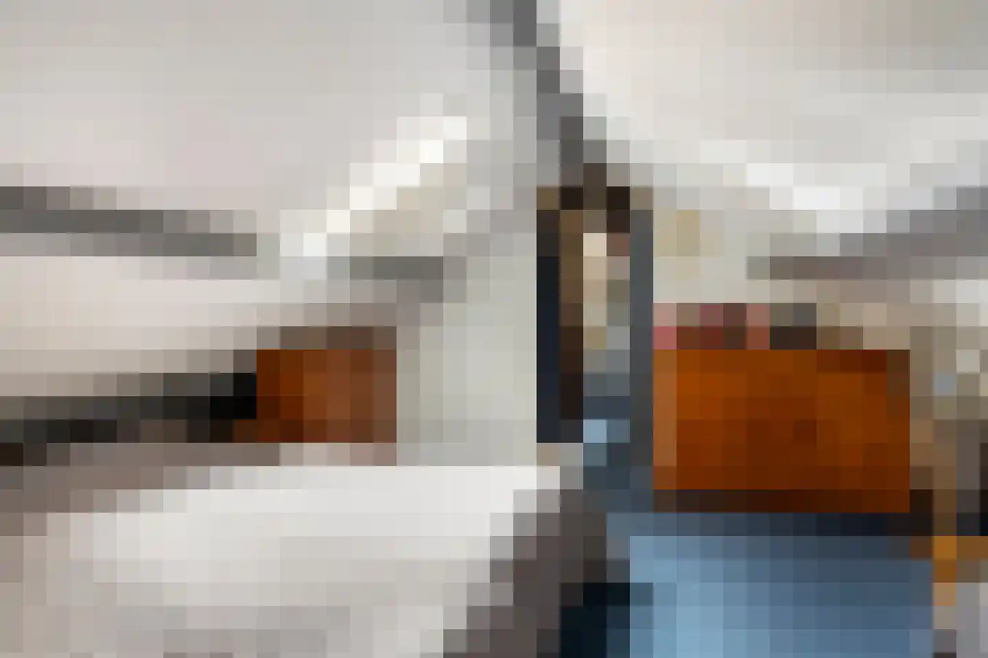 Tuinstraat 1 Biervliet thumbnail 18