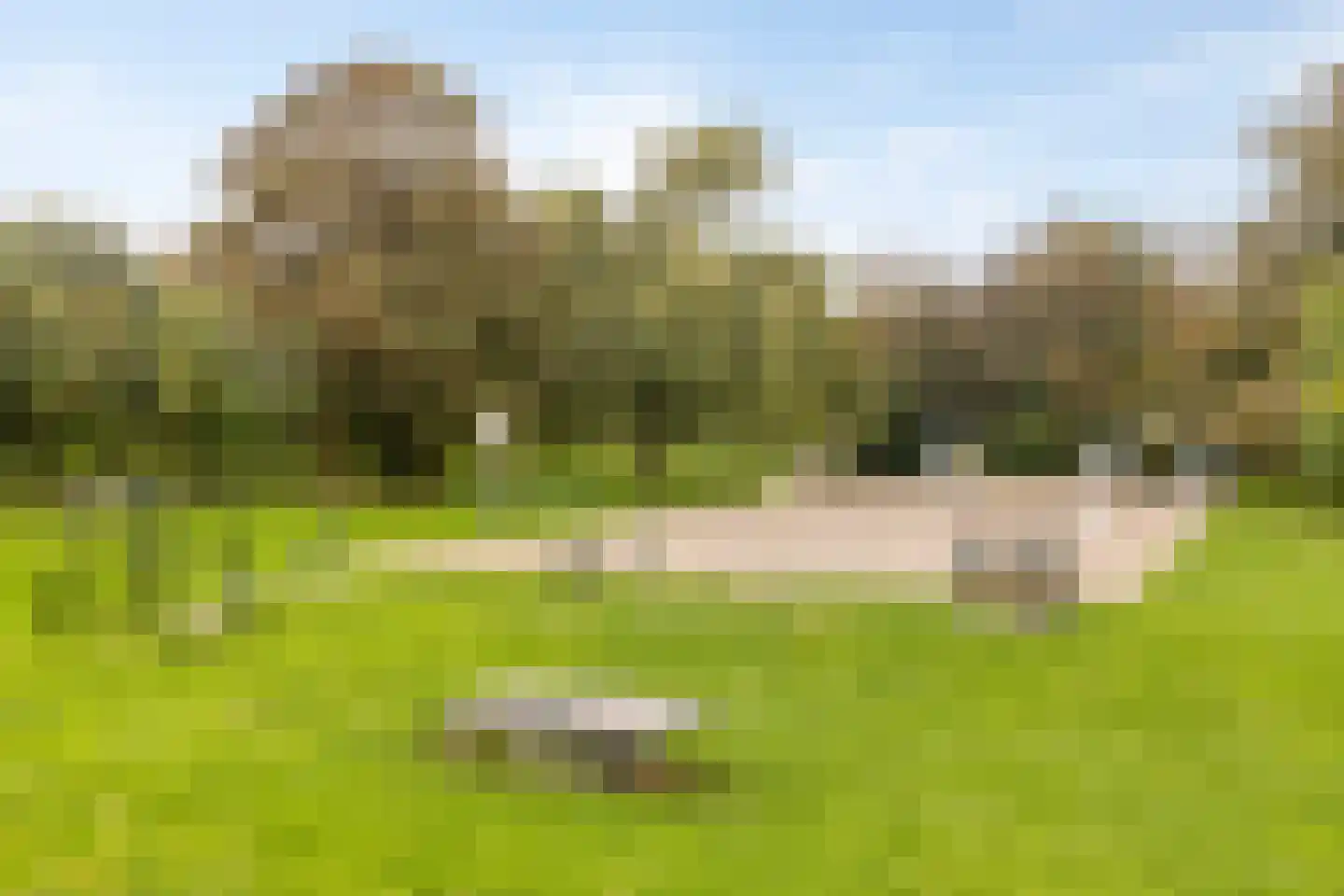 Tuinstraat 1 Biervliet thumbnail 24