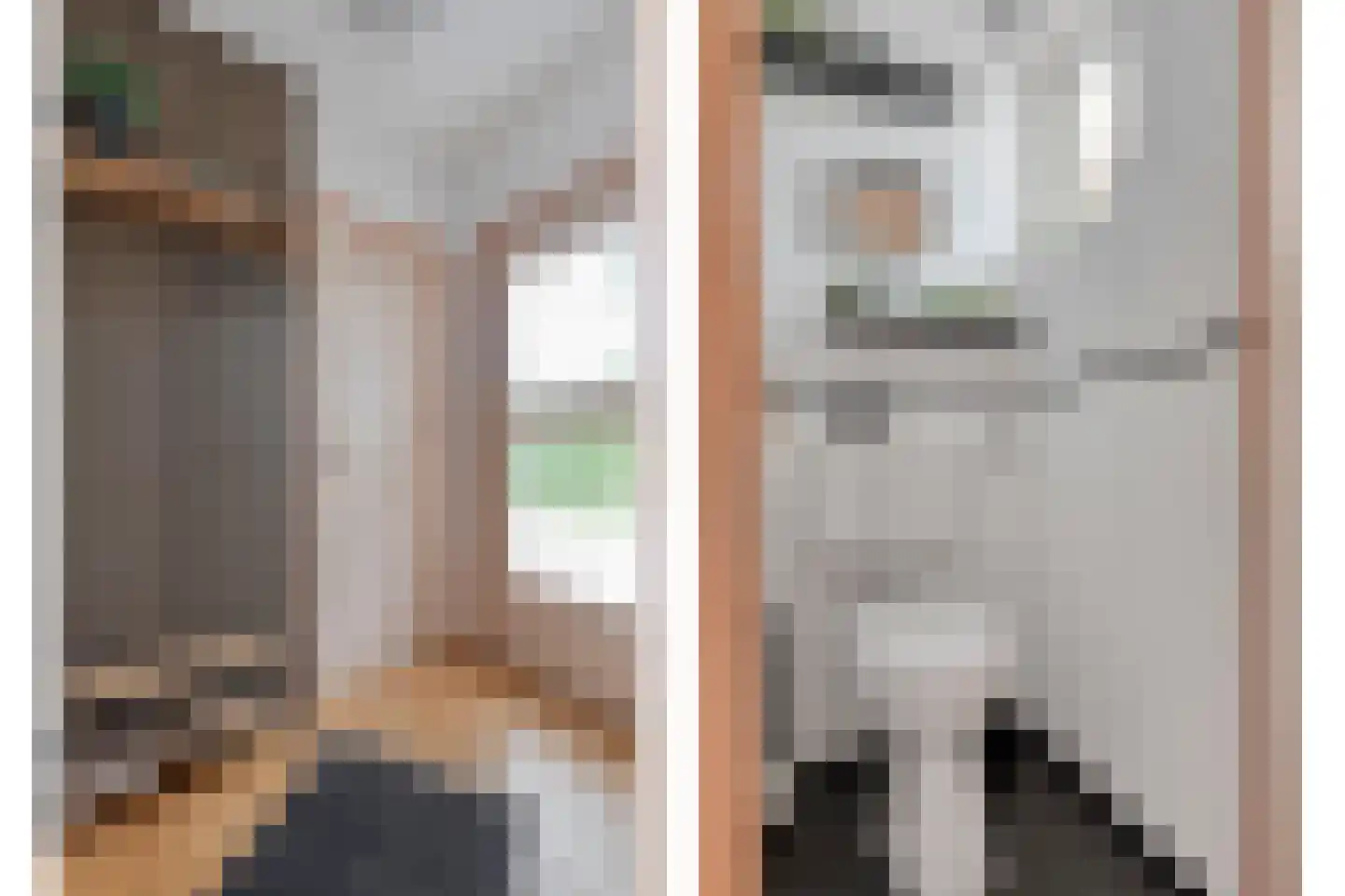 Tuinstraat 1 Biervliet thumbnail 5
