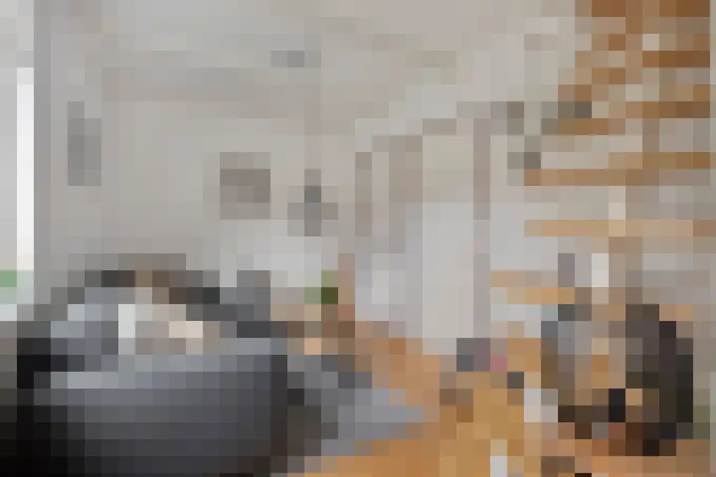 Tuinstraat 1 Biervliet thumbnail 6